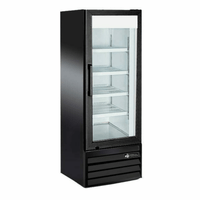 EFI 9.1 Cu. Ft. Single Glass Door Beverage Cooler - C1-21GDVCX