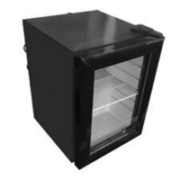 EFI C1-21GDCT 13.8-Inch Countertop Display Cooler, 21L Capacity