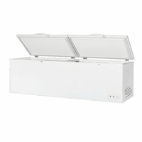 Maxx Cold MXSH30.0SHC Heavy-Duty Solid Chest Freezer with dual lids and spacious interior.