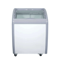 Ancaster Food Equipment XS-160YX 5.6 Cu. Ft. Glass Sliding Door Novelty Freezer