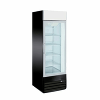 EFI F1-27GDVCX X-Line 27-Inch Black Merchandising Freezer with Glass Door