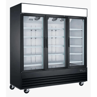 Ancaster Food Equipment GF60 79.5-Inch Three-Door Glass Display Freezer